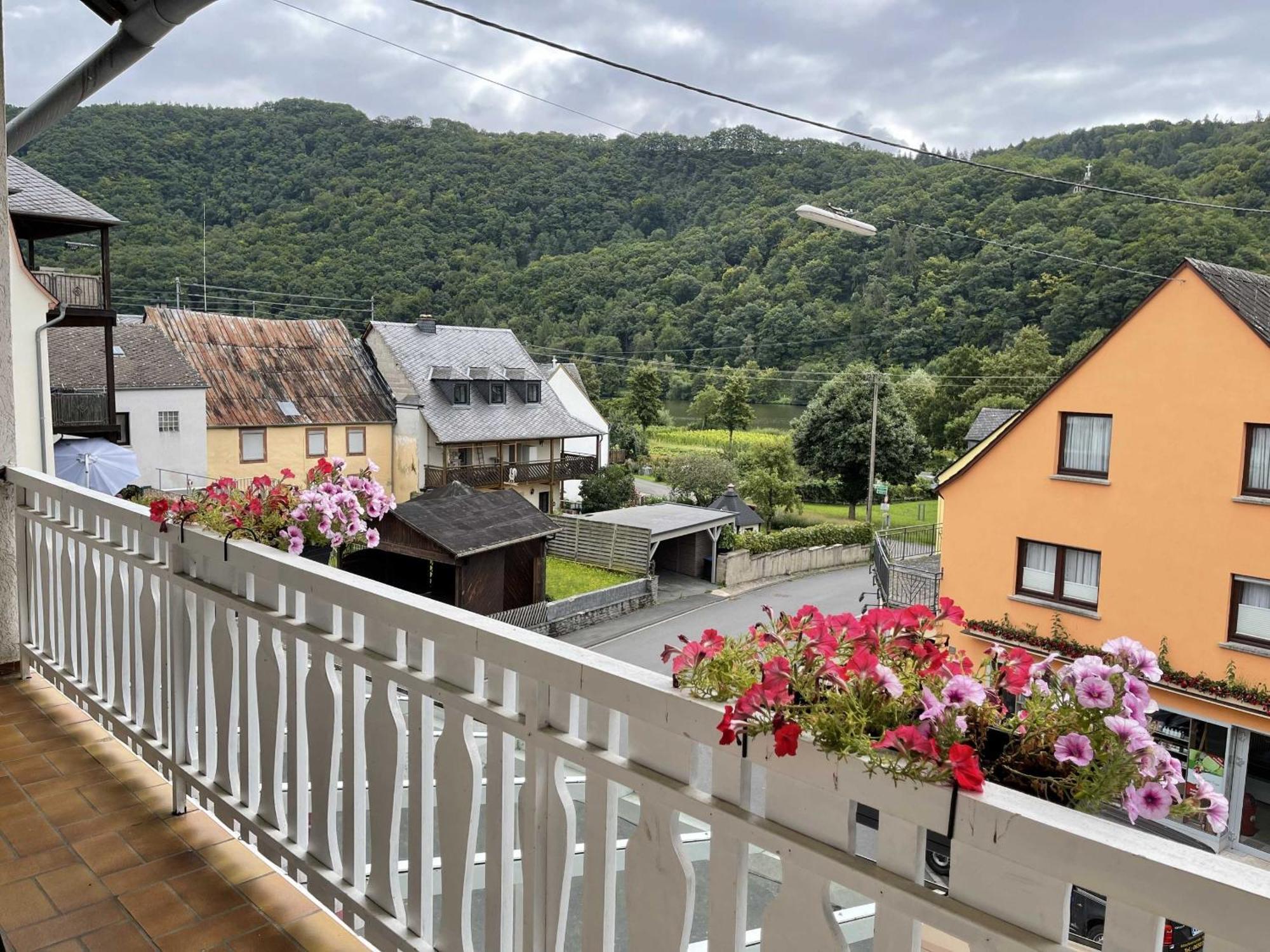 Hotel Zur Mosel مينهايم المظهر الخارجي الصورة